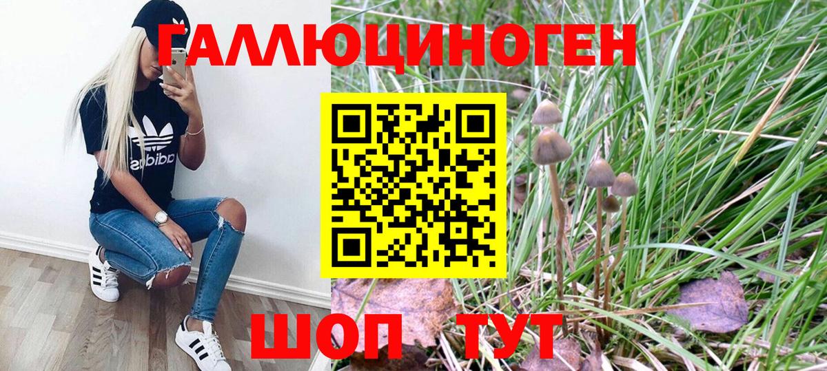 Псилоцибиновые грибы прущие грибы Новотроицк