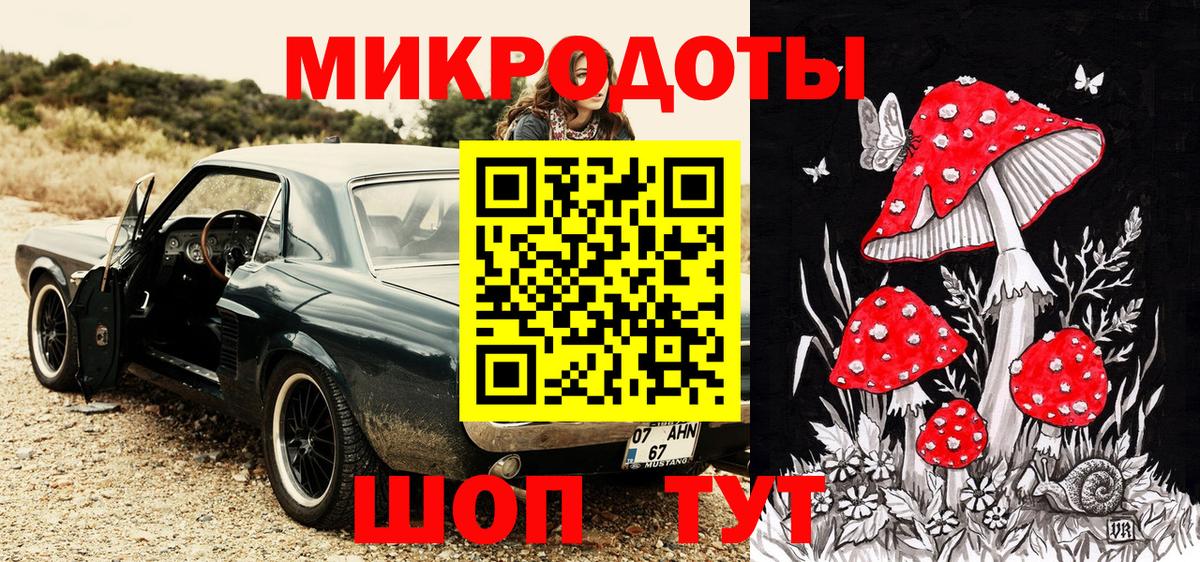 где купить наркоту  Новотроицк  Галлюциногенные грибы мицелий  Галлюциногенные грибы прущие грибы 