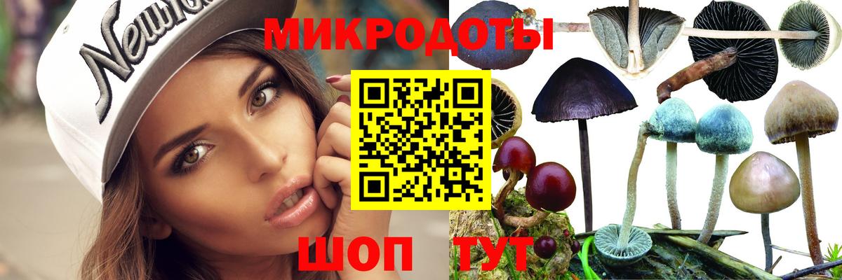 закладка  Вход с VPN  Новотроицк  Псилоцибиновые грибы Psilocybine cubensis  Галлюциногенные грибы Psilocybe 